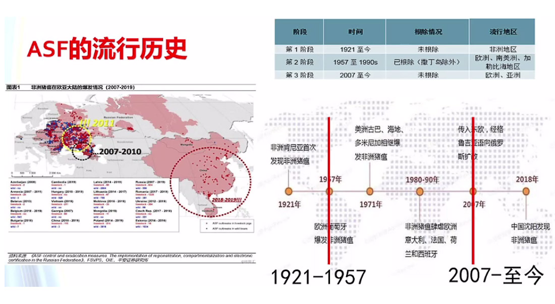 1597653208439311.jpg 04-4.jpg