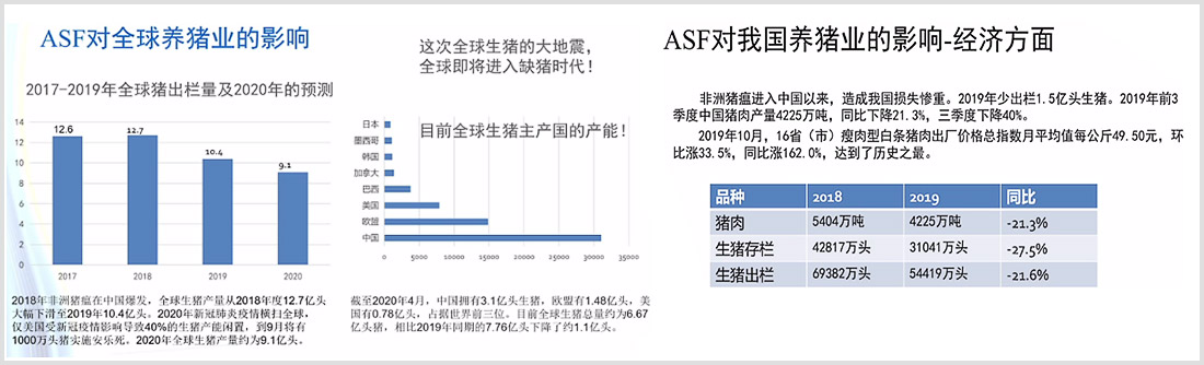 1597653219834773.jpg 04-5.jpg