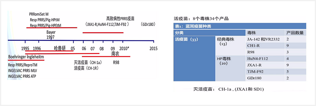 1597653309119796.jpg 04-9.jpg