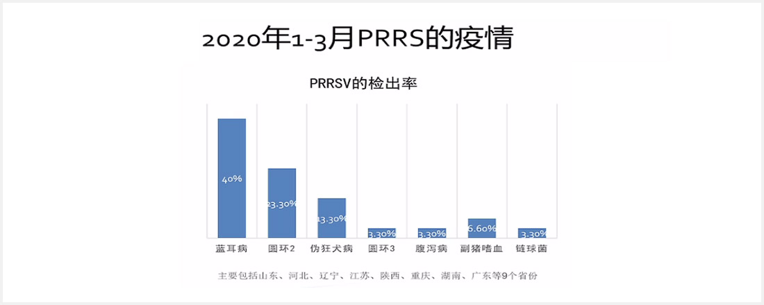 1597653362580713.jpg 04-13.jpg